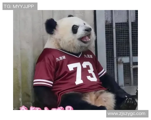 足球明星与可爱熊猫亲密互动的温馨瞬间分享